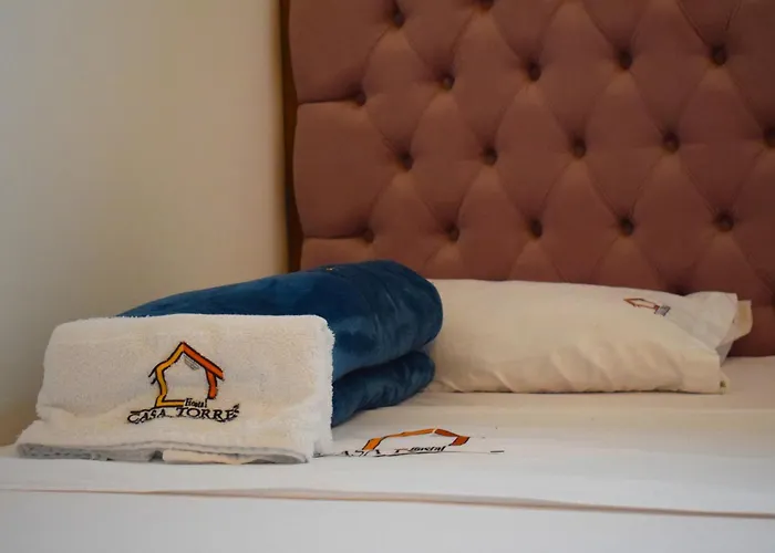 Casa Torres Centro Historico - Adults OnlyHostal